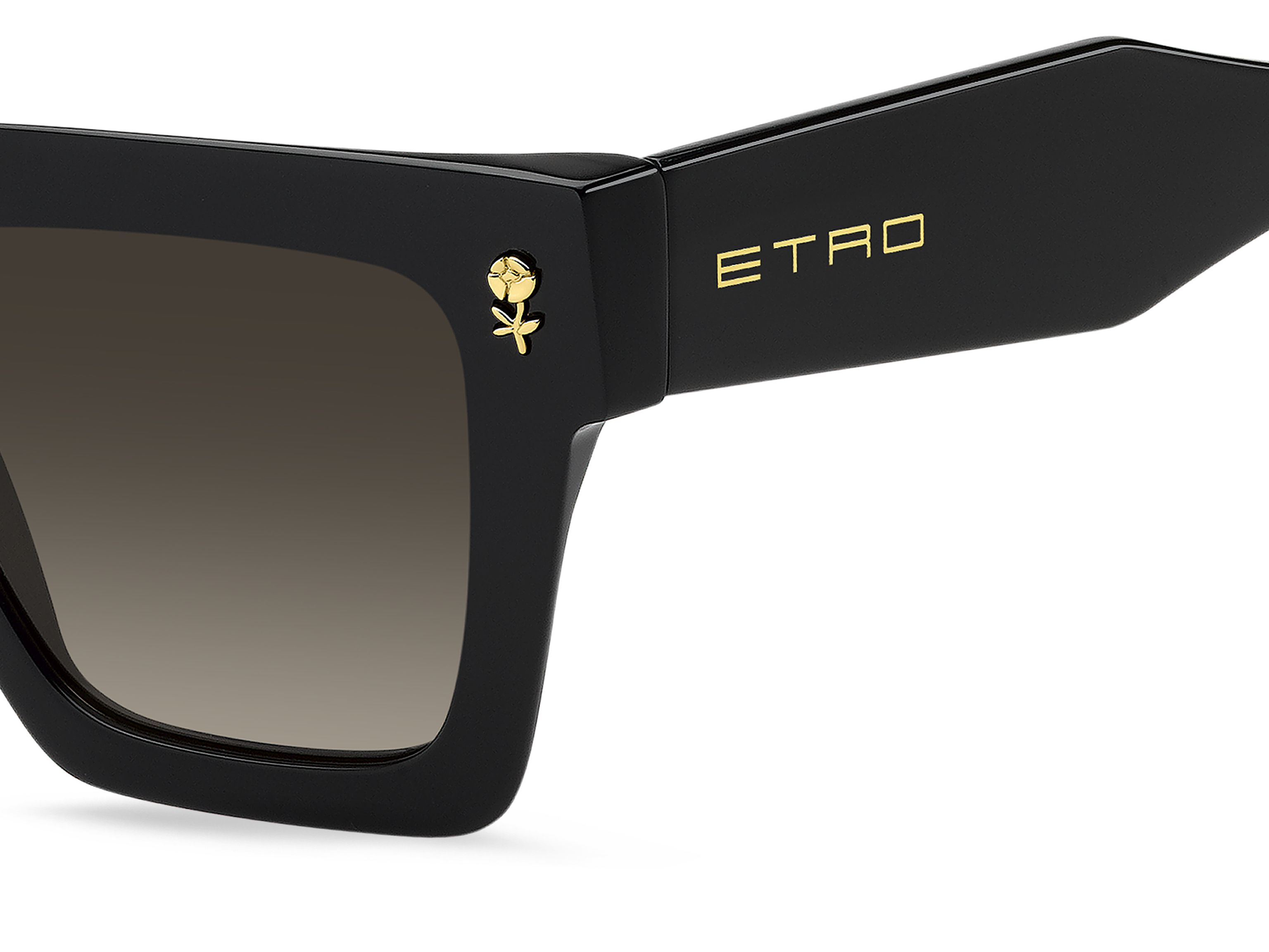 Солнцезащитные очки ETRO 0113/S 807 HA (52-20)