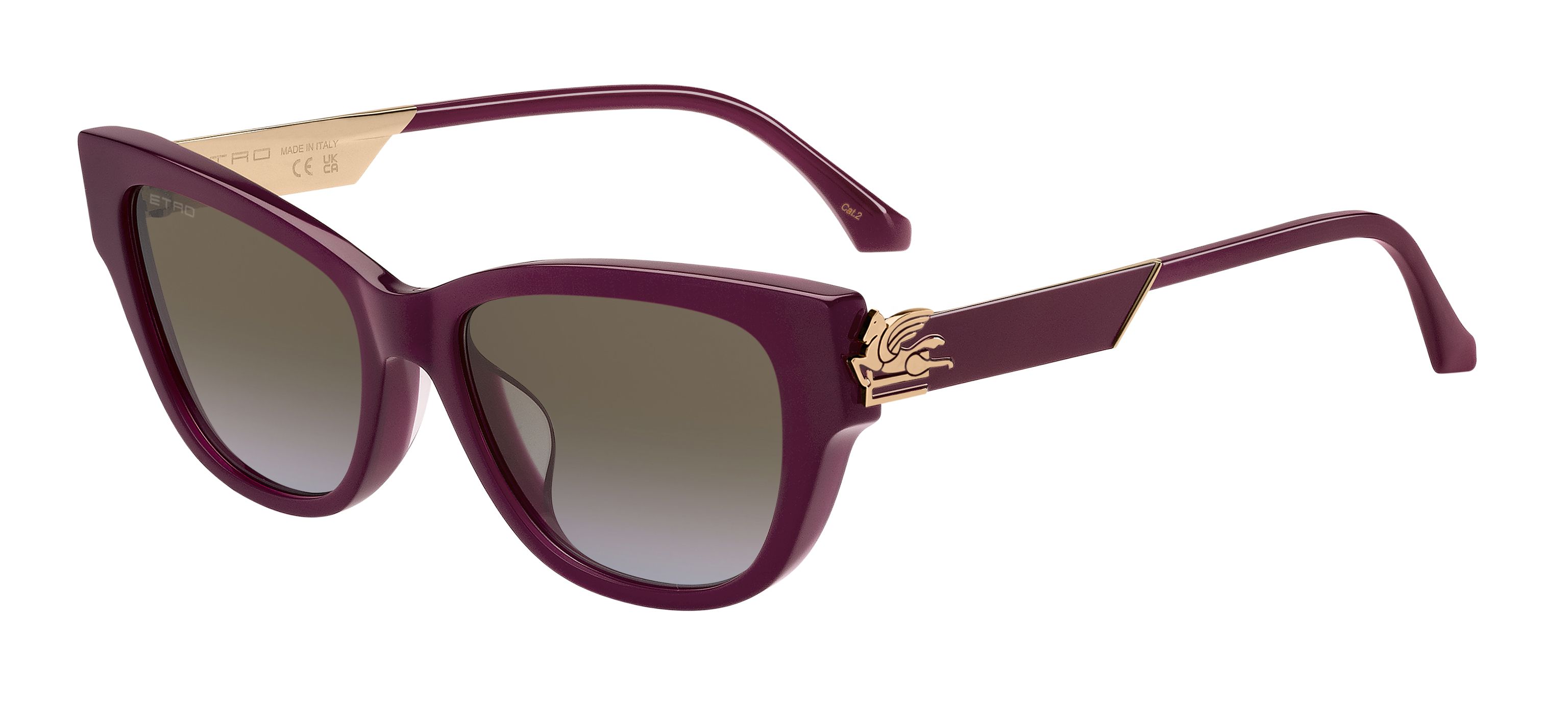 Солнцезащитные очки ETRO 0063/F/S LHF 67 (55-18)