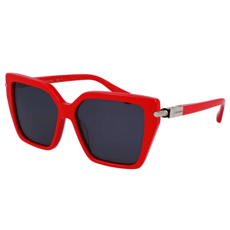 Солнцезащитные очки SALVATORE FERRAGAMО SF1106S 600 (57-14)