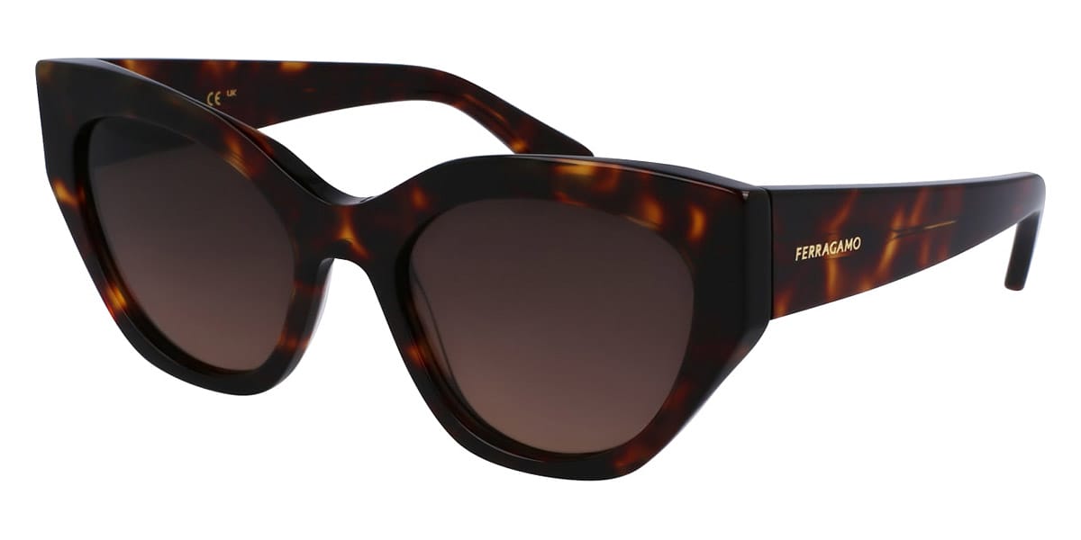 Солнцезащитные очки SALVATORE FERRAGAMО SF1107S 242 (55-20)