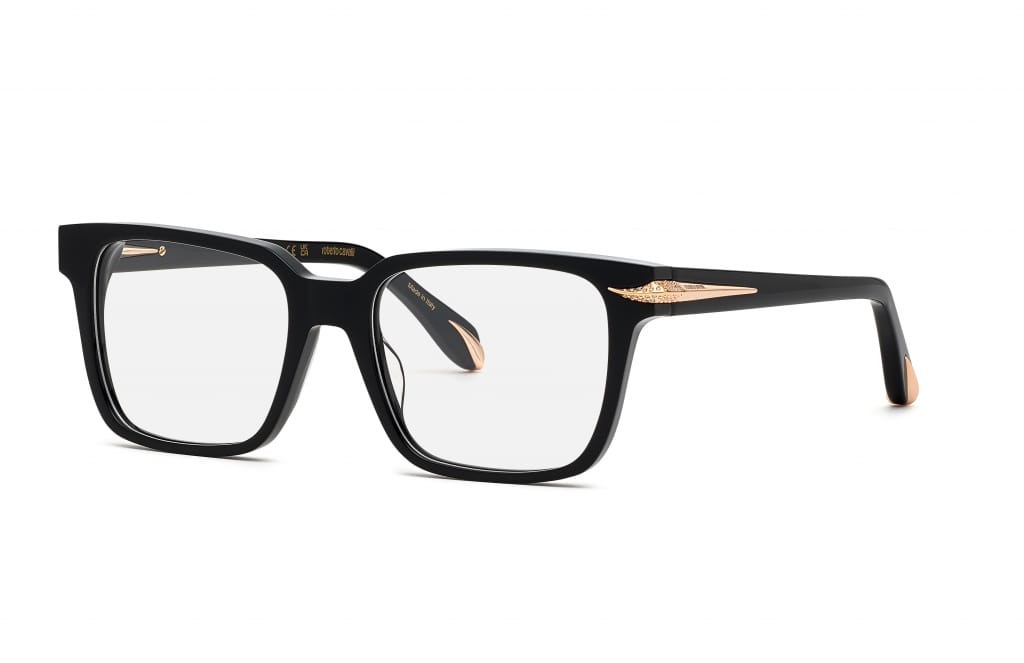 Оправа ROBERTO CAVALLI VRC019S 700 (52-18)