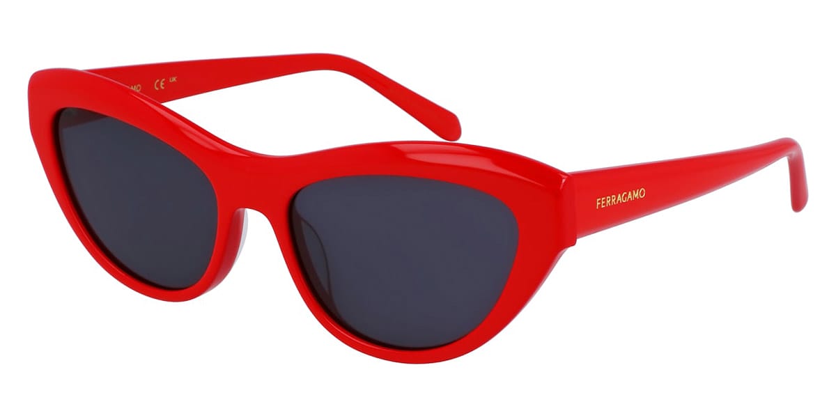 Солнцезащитные очки SALVATORE FERRAGAMО SF1103S 600 (55-17)