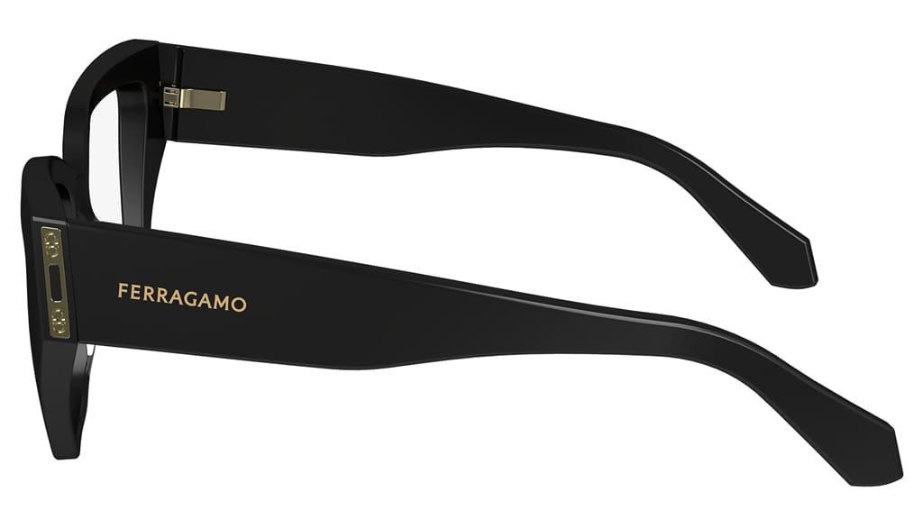Оправа SALVATORE FERRAGAMO SF2972 001 (54-16)