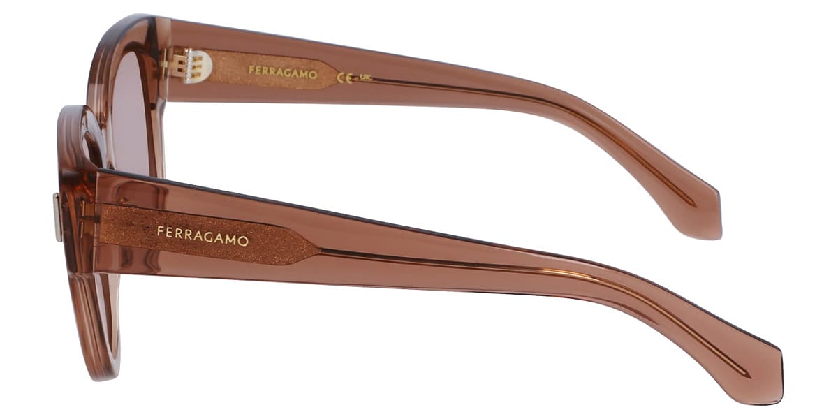 Солнцезащитные очки SALVATORE FERRAGAMО SF2007S 260 (51-20)