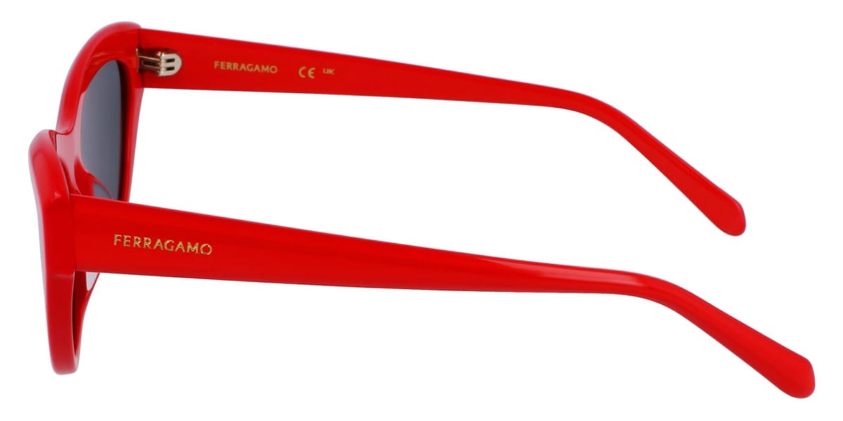 Солнцезащитные очки SALVATORE FERRAGAMО SF1103S 600 (55-17)