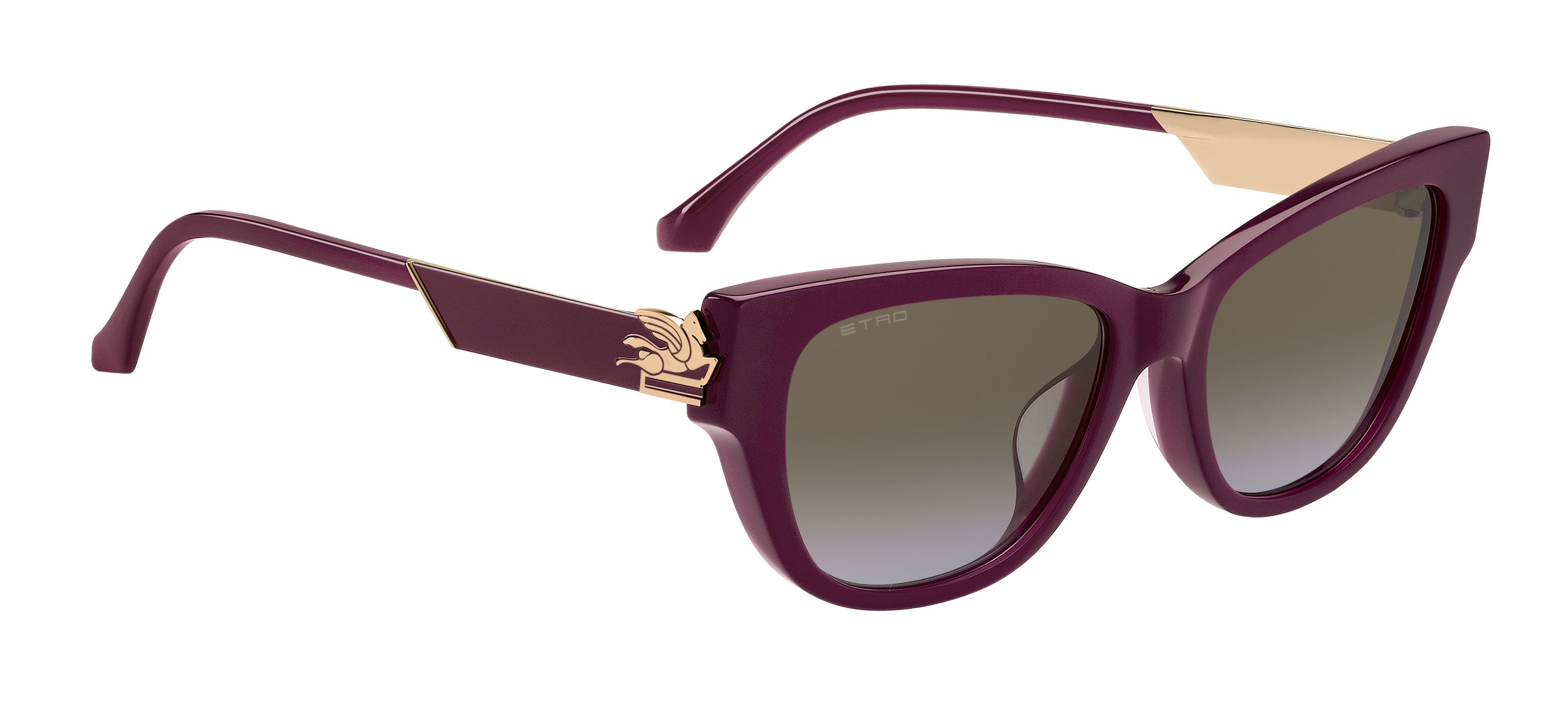 Солнцезащитные очки ETRO 0063/F/S LHF 67 (55-18)
