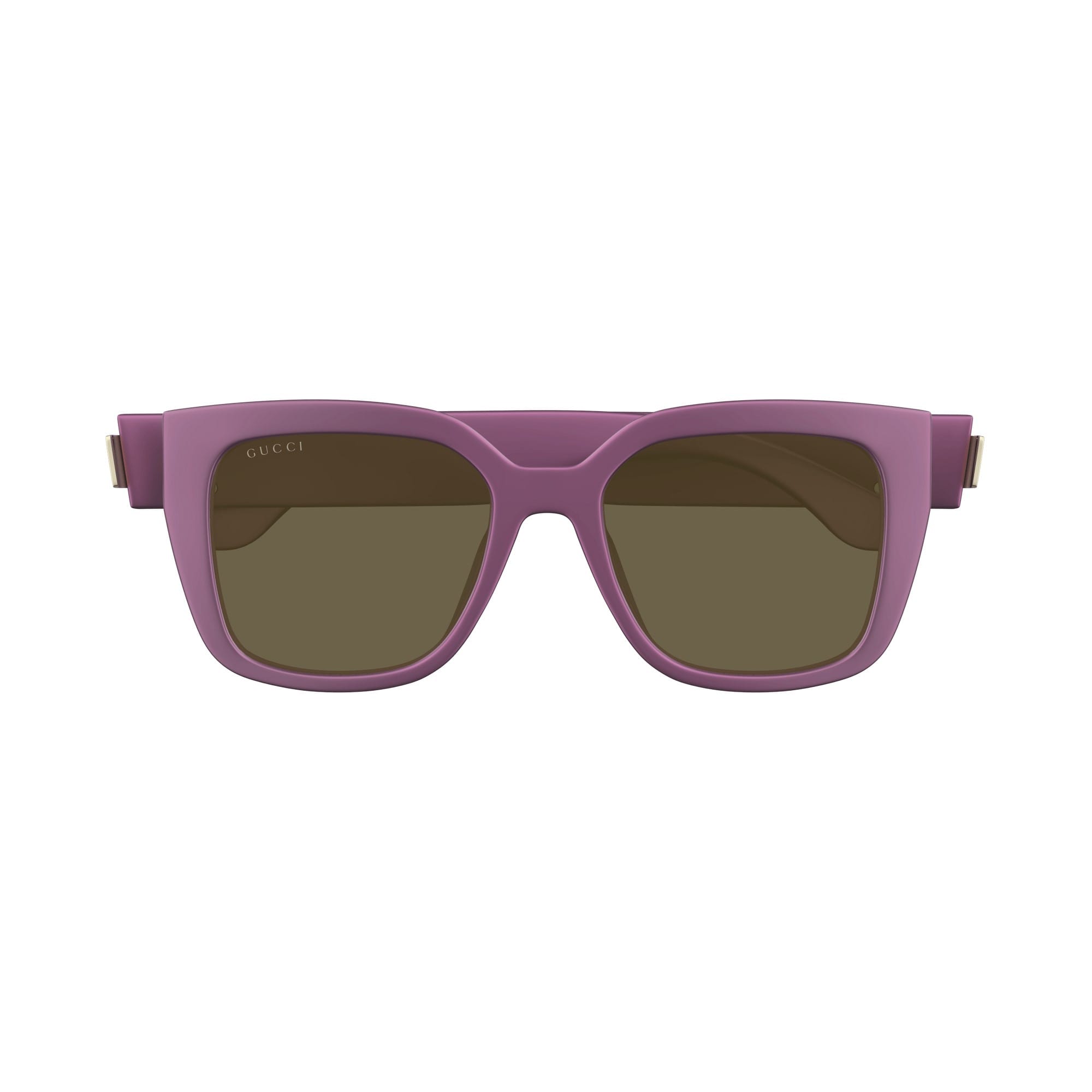 Солнцезащитные очки GUCCI GG1690SK 004 (54-19)
