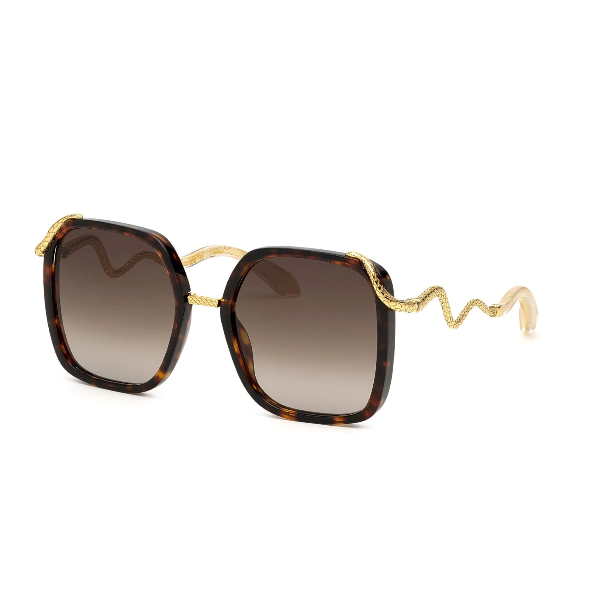 Солнцезащитные очки ROBERTO CAVALLI SRC003M 743 (55-20)