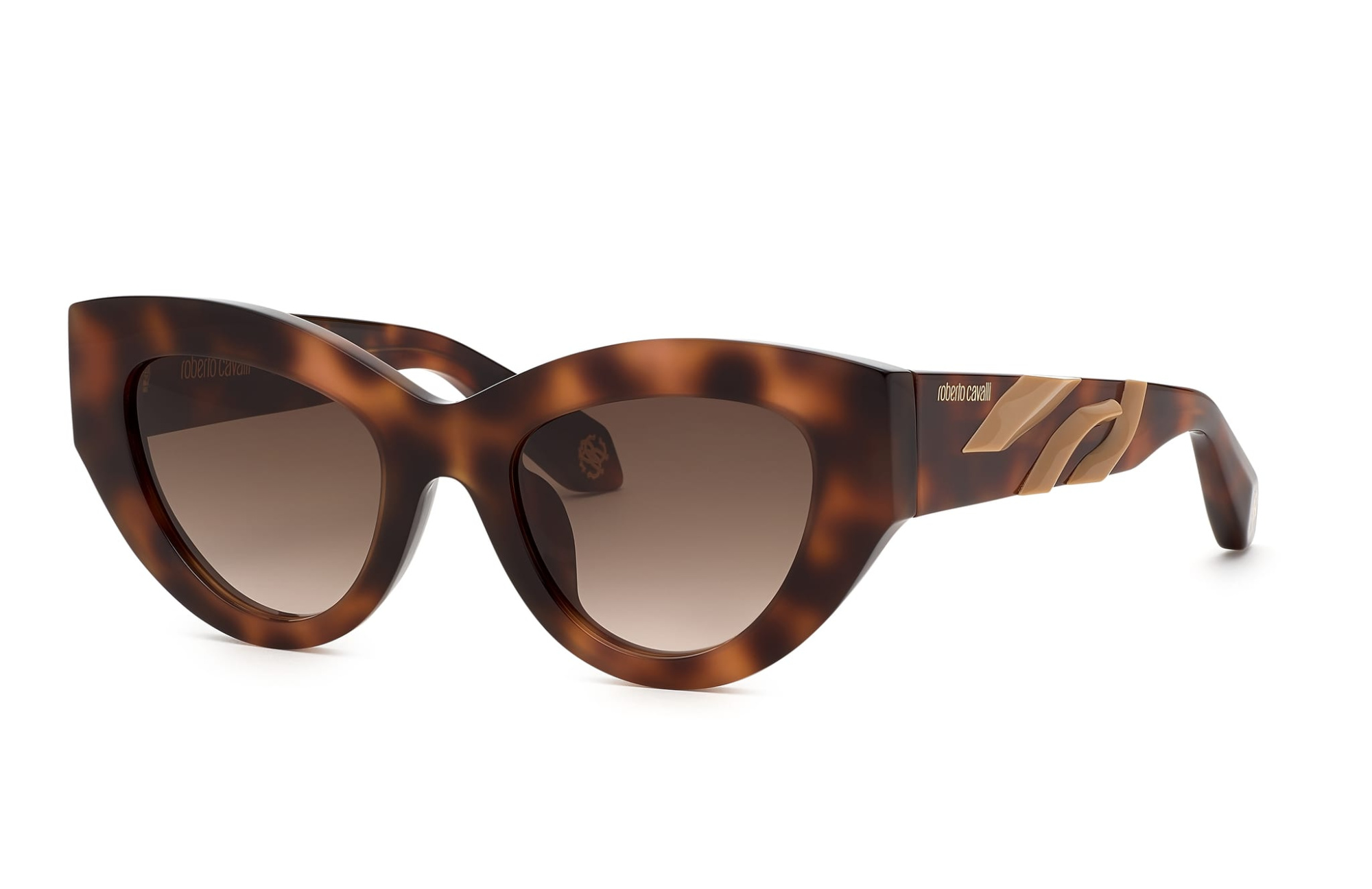 Солнцезащитные очки ROBERTO CAVALLI SRC009M 2BV (51-21)