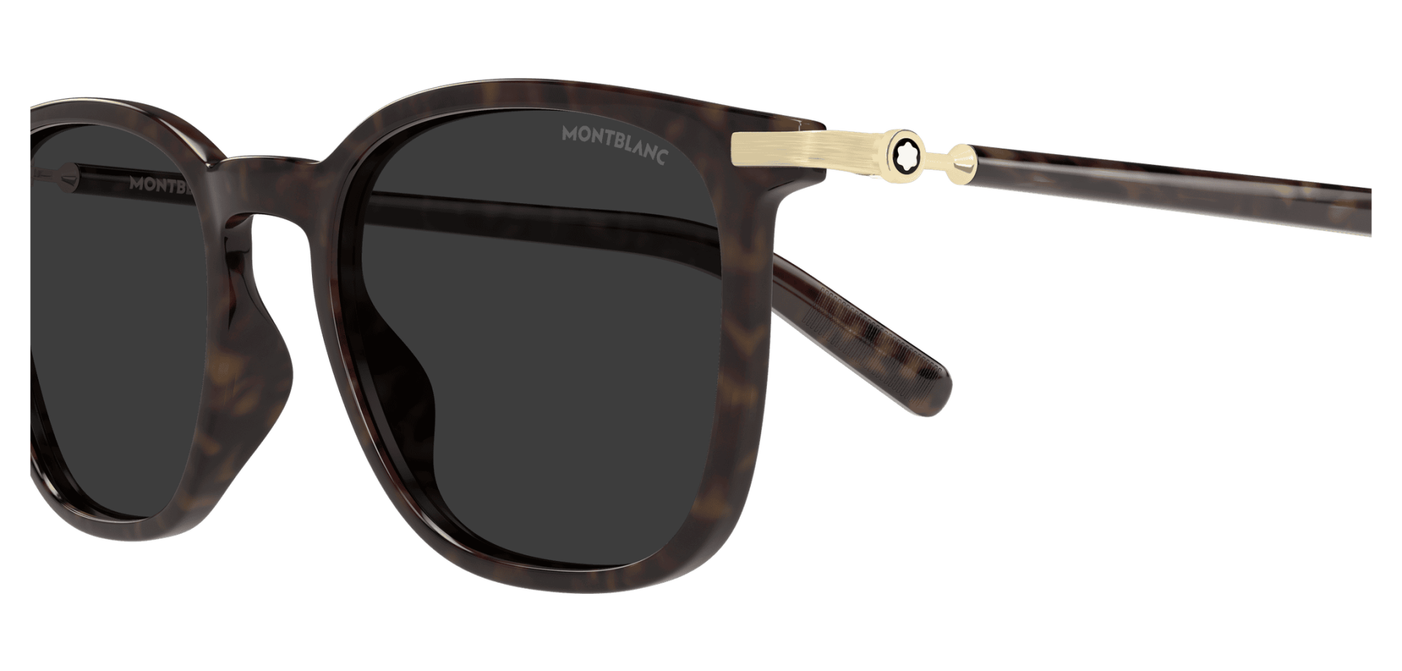 Солнцезащитные очки MONTBLANC MB0460S 003 (50-19)