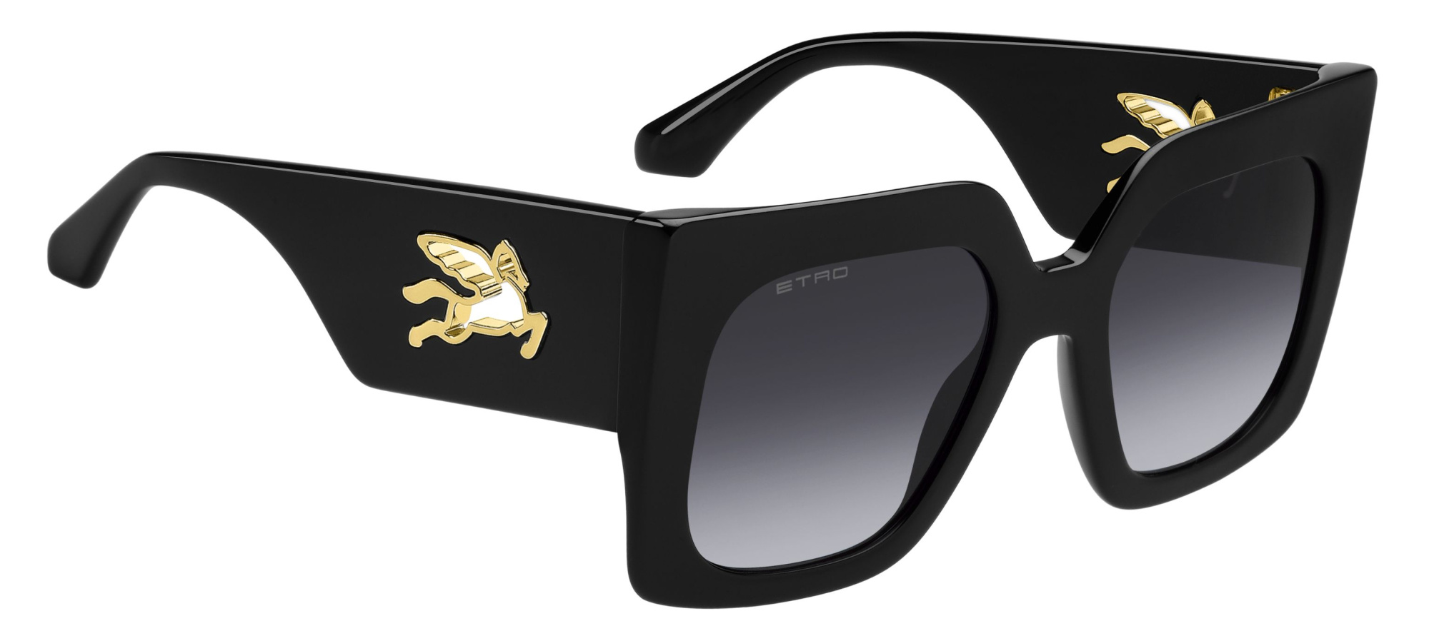 Солнцезащитные очки ETRO 0075/S 807 9O (53-22)