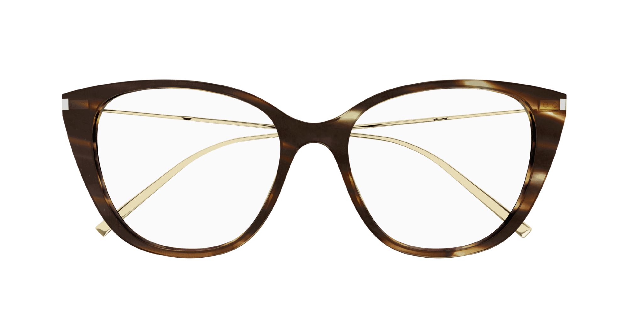 Оправа SAINT LAURENT SL 627 004 (54-17)