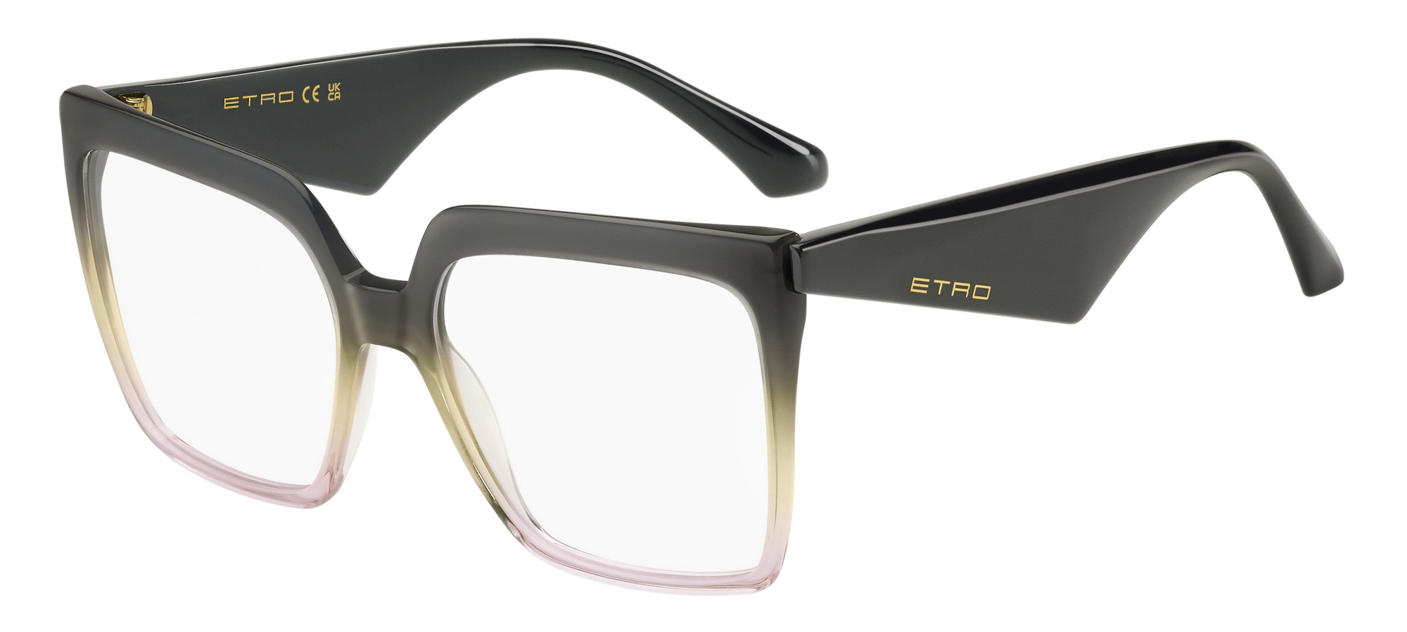 Оправа ETRO 0005 XYO (56-17)