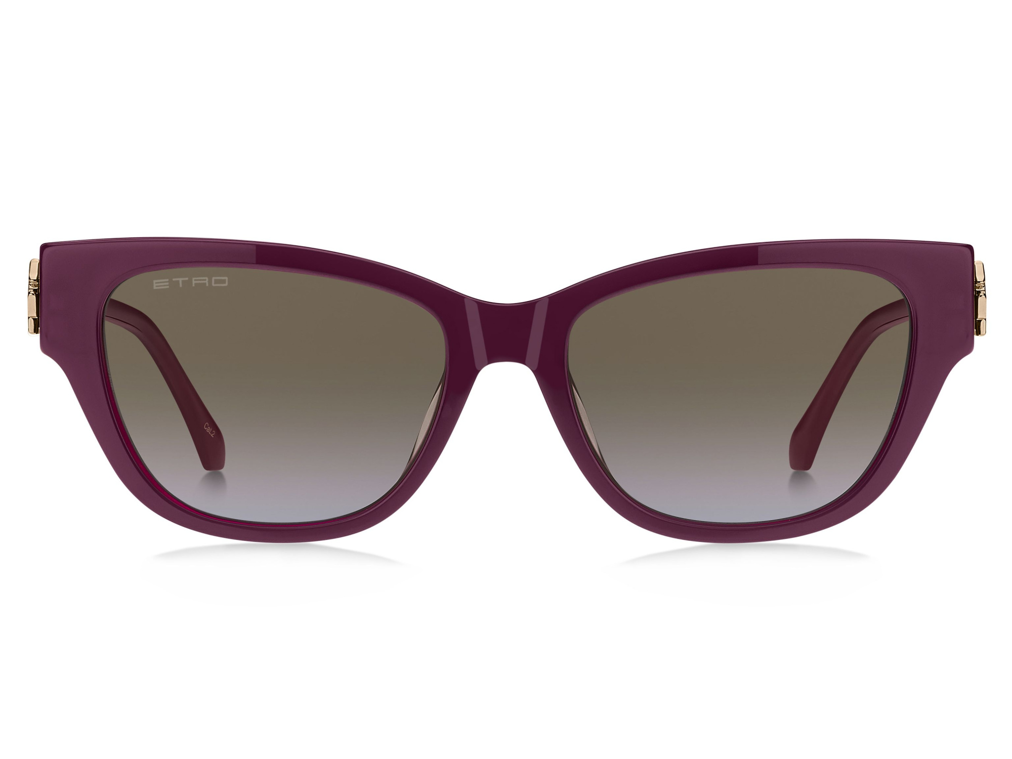 Солнцезащитные очки ETRO 0063/F/S LHF 67 (55-18)