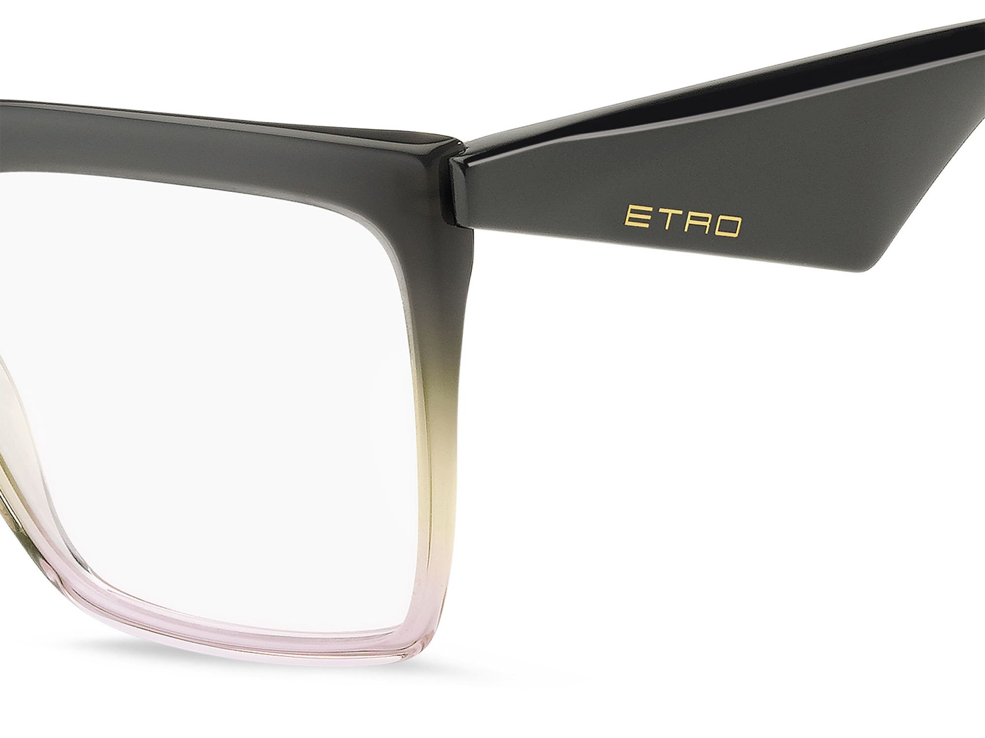 Оправа ETRO 0005 XYO (56-17)
