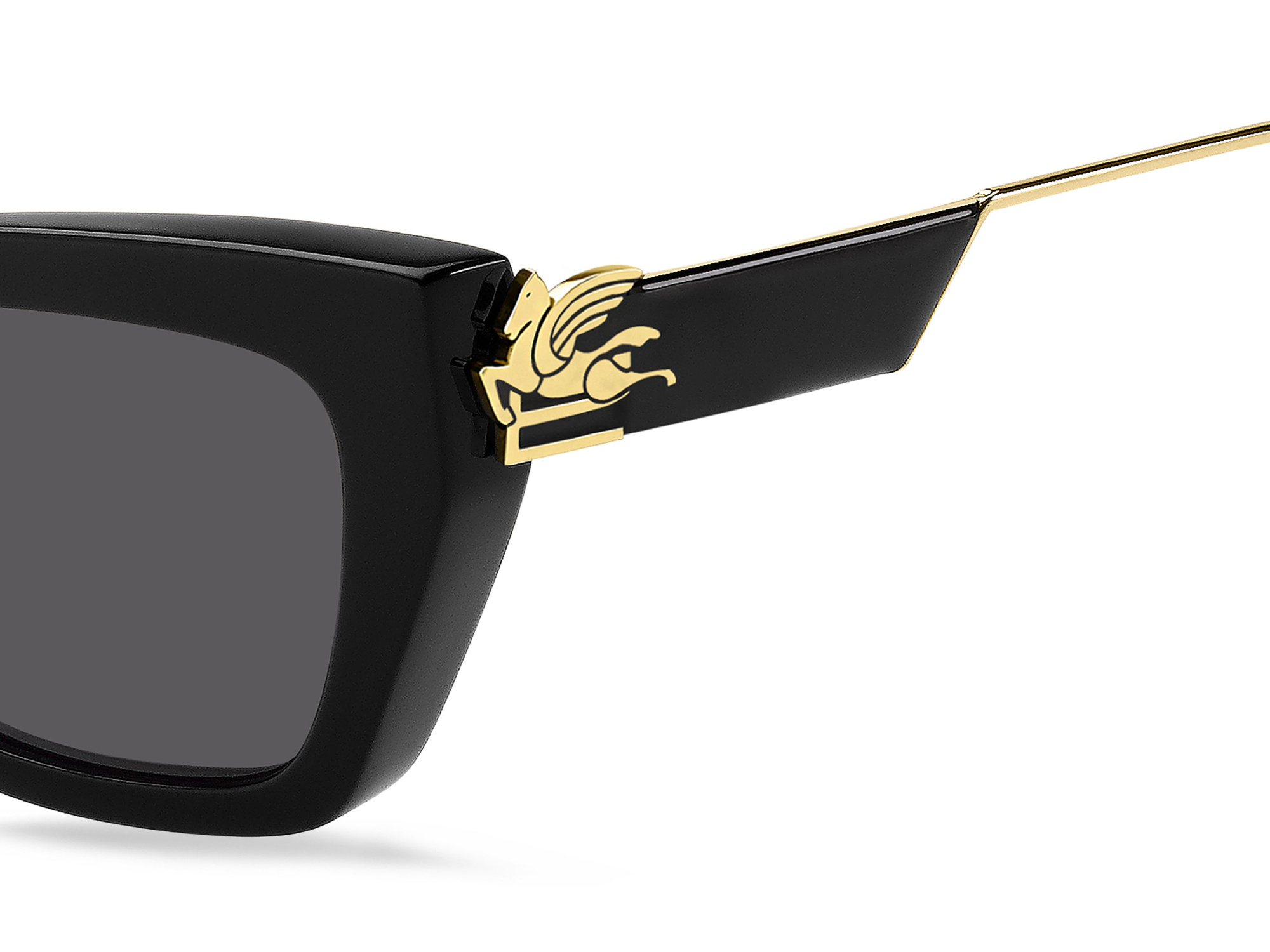 Солнцезащитные очки ETRO 0028/S 807 IR (54-20)