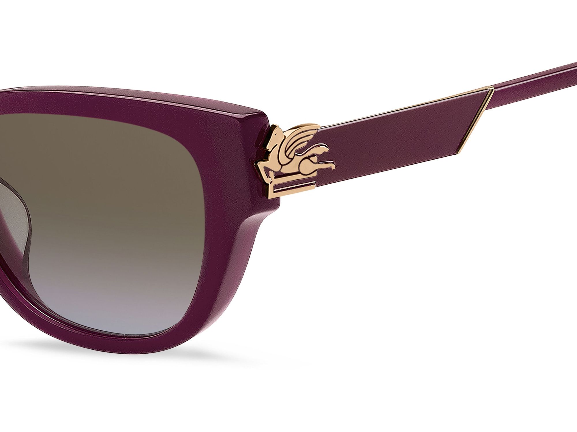 Солнцезащитные очки ETRO 0063/F/S LHF 67 (55-18)