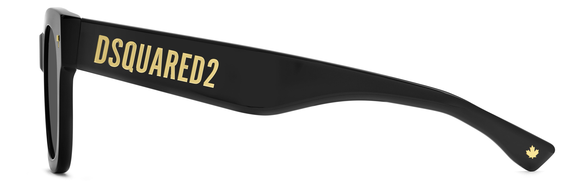 Солнцезащитные очки DSQUARED2 D2 0180/S 807 IR (48-23)