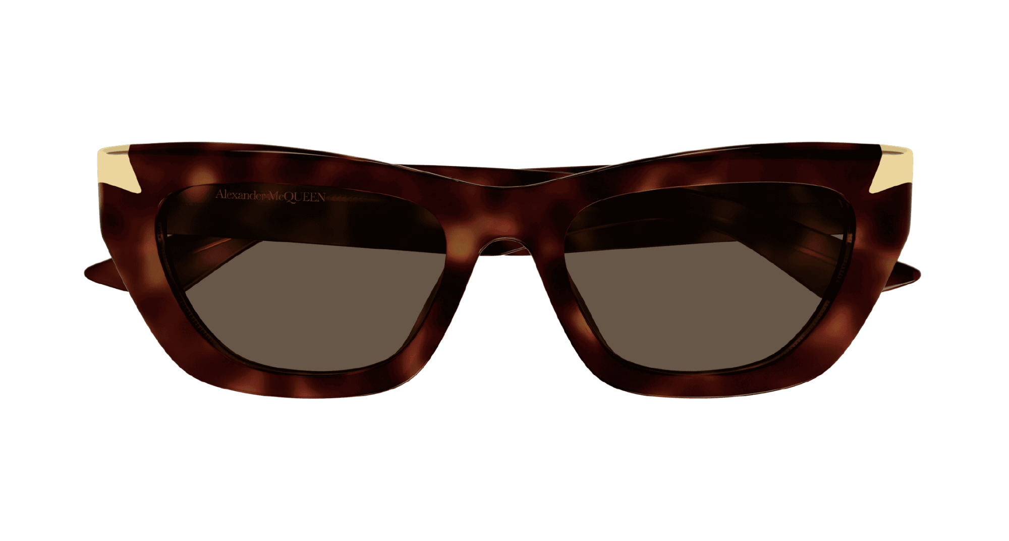 Солнцезащитные очки ALEXANDER MCQUEEN AM0440SA 003 (53-19)