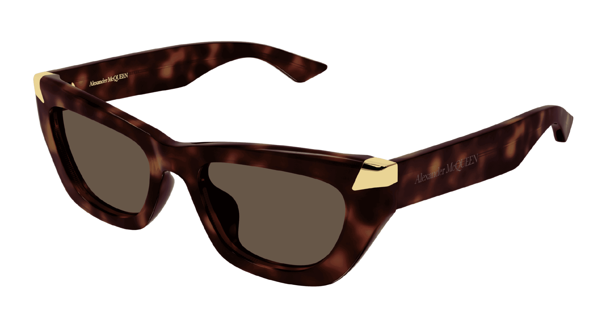 Солнцезащитные очки ALEXANDER MCQUEEN AM0440SA 003 (53-19)